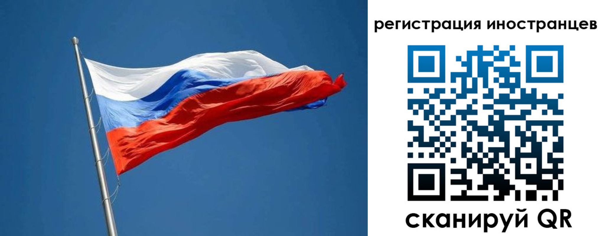 прописка в Выборге